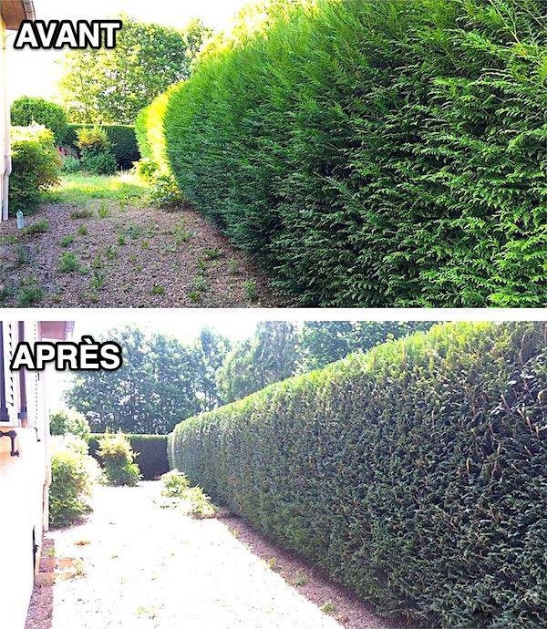 Entretien espace vert - Photo 6