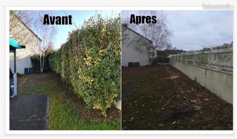 Entretien espace vert - Photo 5